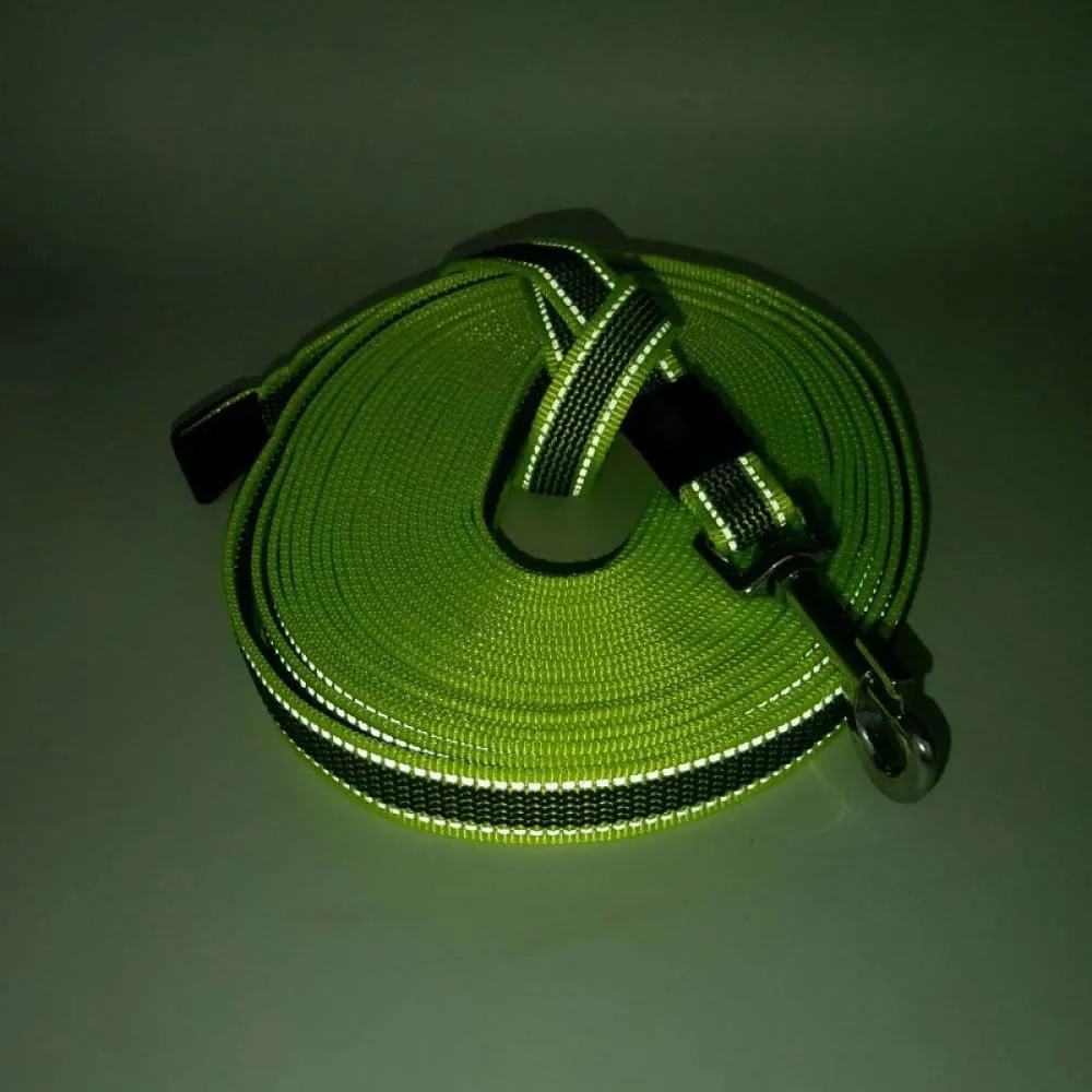 5m 10m 15m Reflective Rubber Leash for Dog - Green