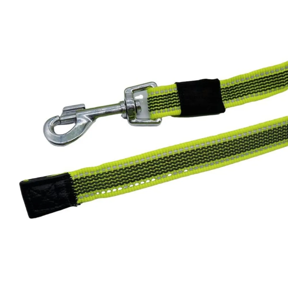 5m 10m 15m Reflective Rubber Leash for Dog - Green