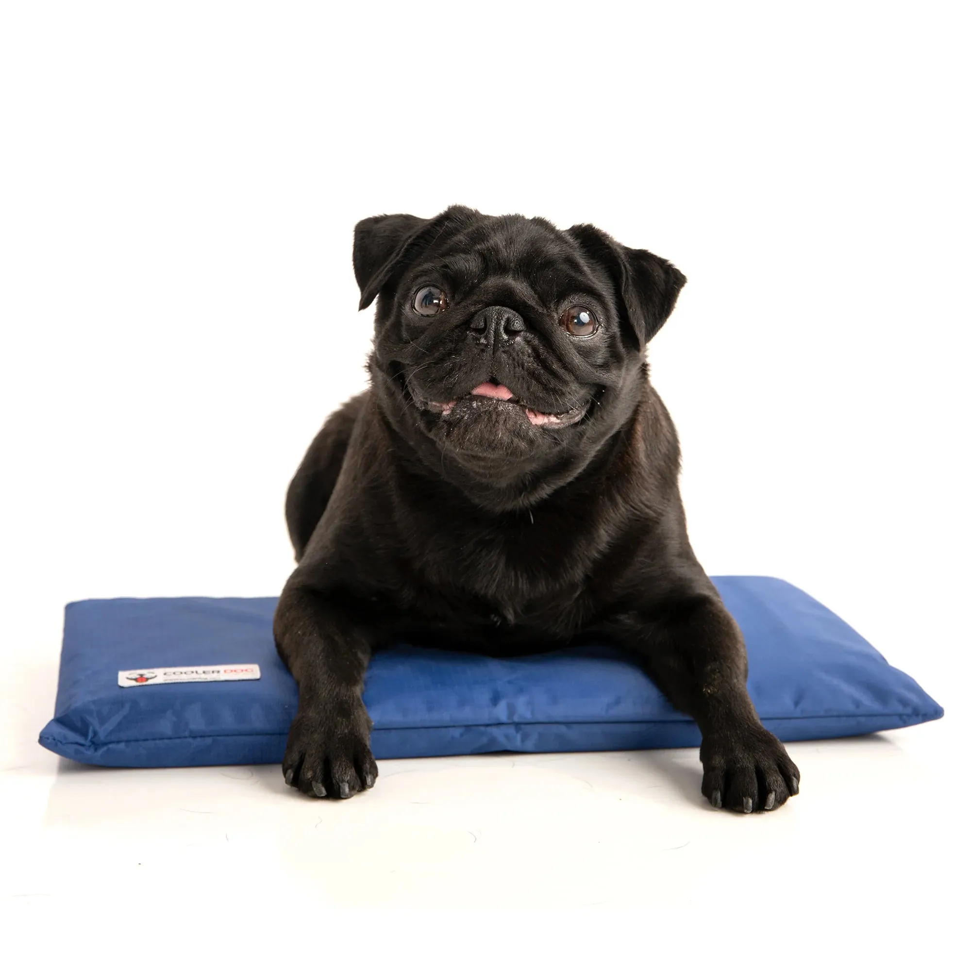 Cooler Dog Hydro Cooling Mat