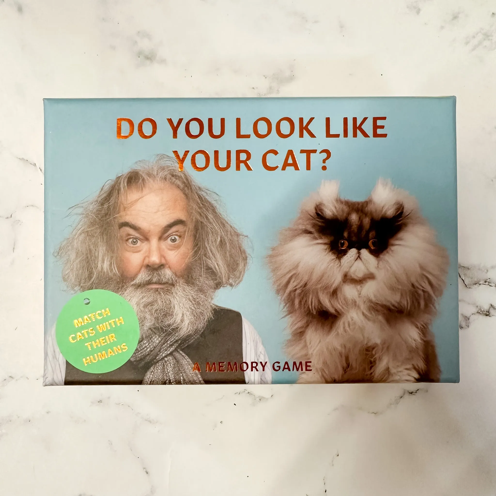 Do You Look Like Your Cat? A Matching Memory Game
