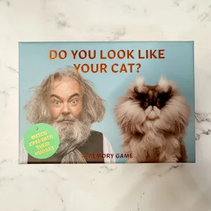 Do You Look Like Your Cat? A Matching Memory Game