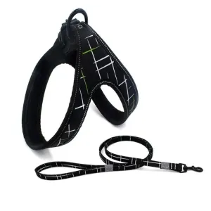 Durable Soft Padded Reflective Pet Harness Leash Set for Small, Medium Dogs