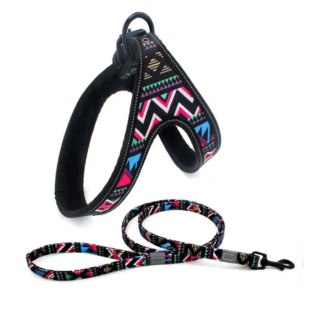 Durable Soft Padded Reflective Pet Harness Leash Set for Small, Medium Dogs