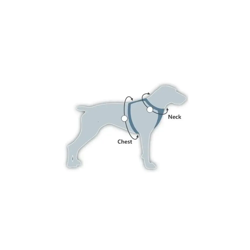 Durable Soft Padded Reflective Pet Harness Leash Set for Small, Medium Dogs