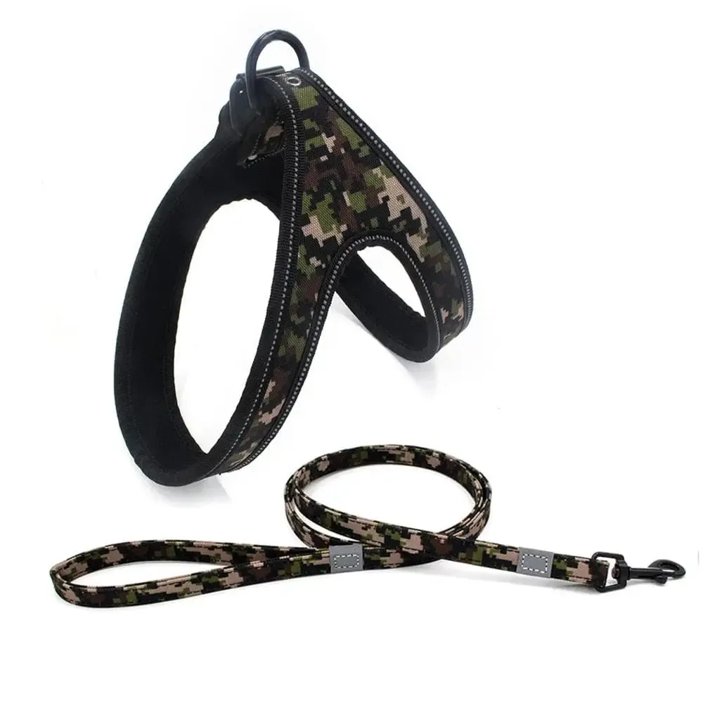 Durable Soft Padded Reflective Pet Harness Leash Set for Small, Medium Dogs