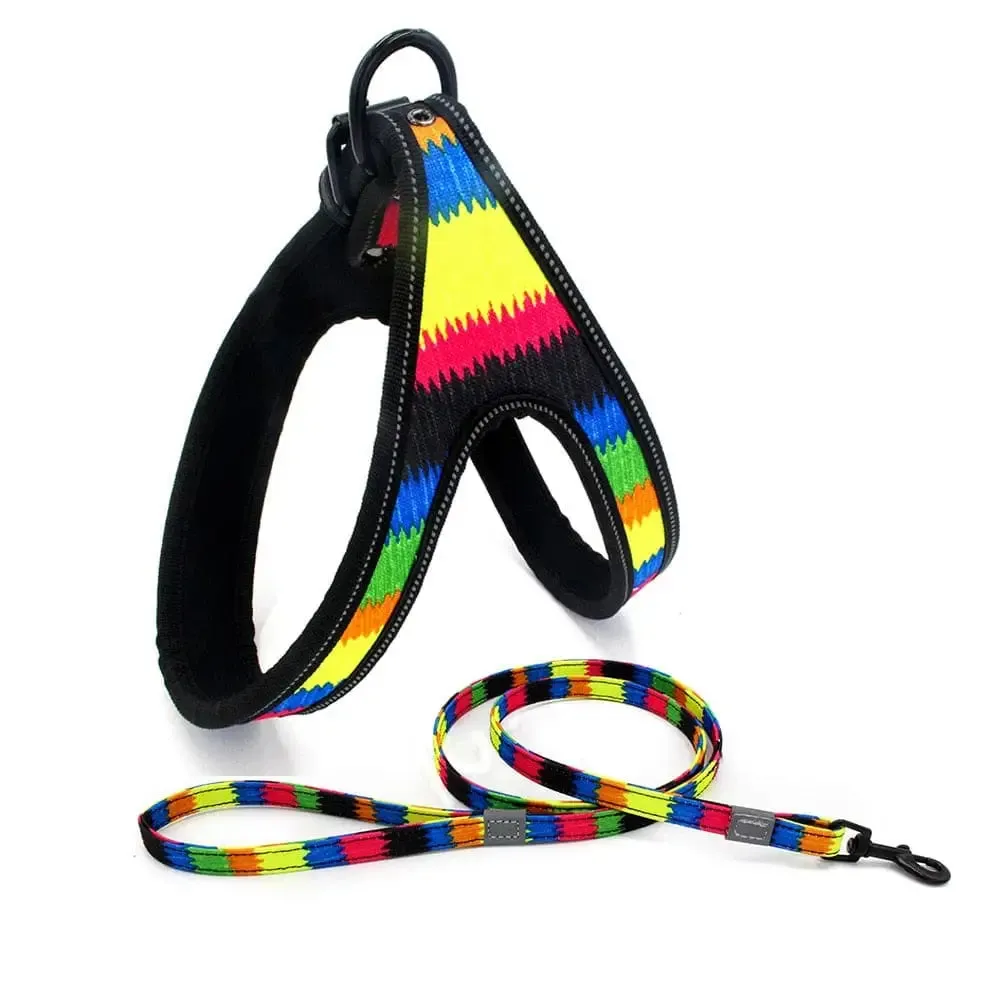 Durable Soft Padded Reflective Pet Harness Leash Set for Small, Medium Dogs