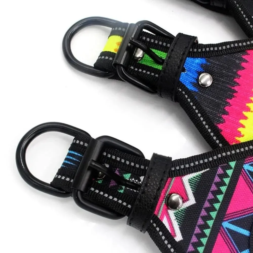 Durable Soft Padded Reflective Pet Harness Leash Set for Small, Medium Dogs