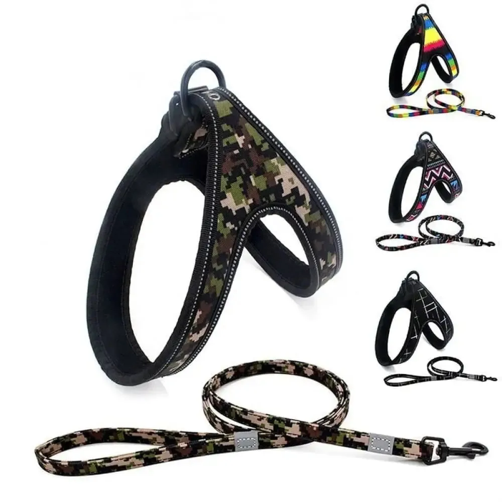Durable Soft Padded Reflective Pet Harness Leash Set for Small, Medium Dogs