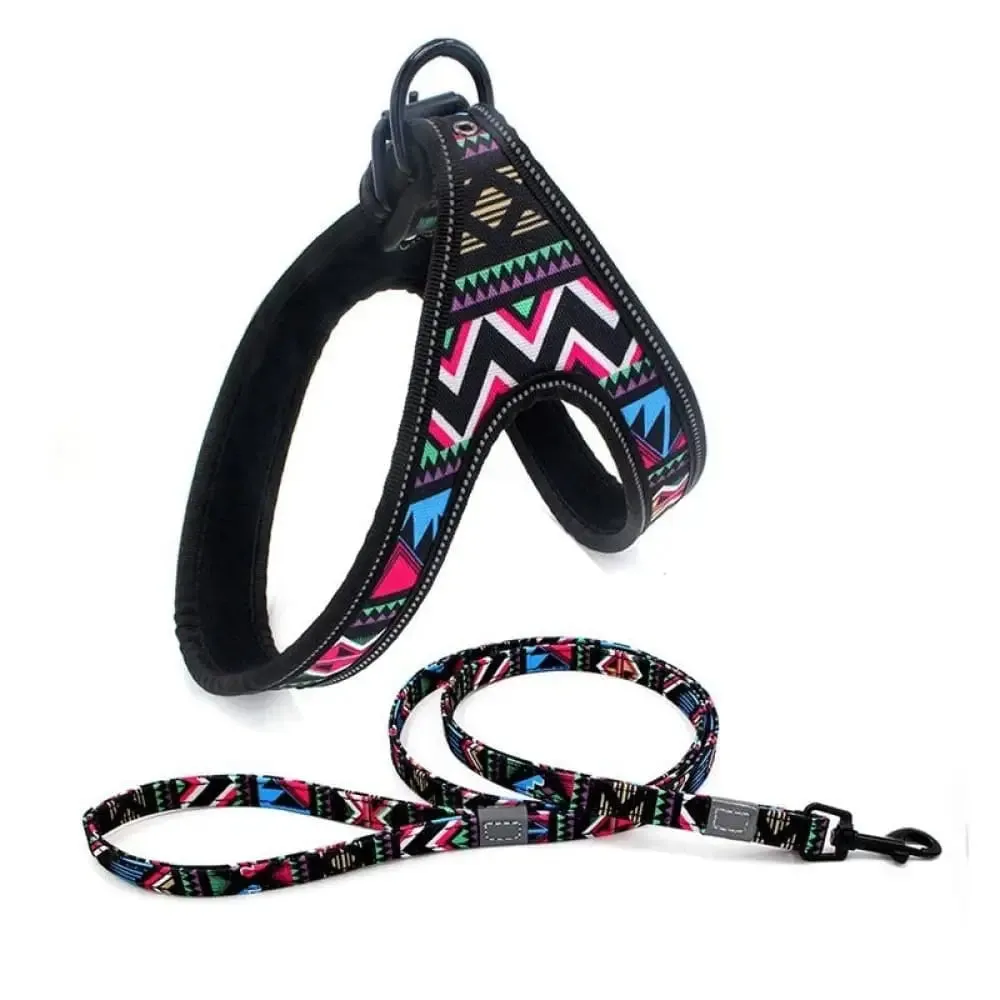 Durable Soft Padded Reflective Pet Harness Leash Set for Small, Medium Dogs