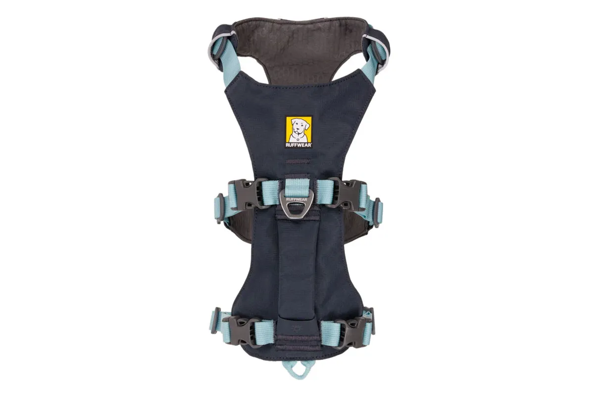 Flagline Harness Basalt Gray