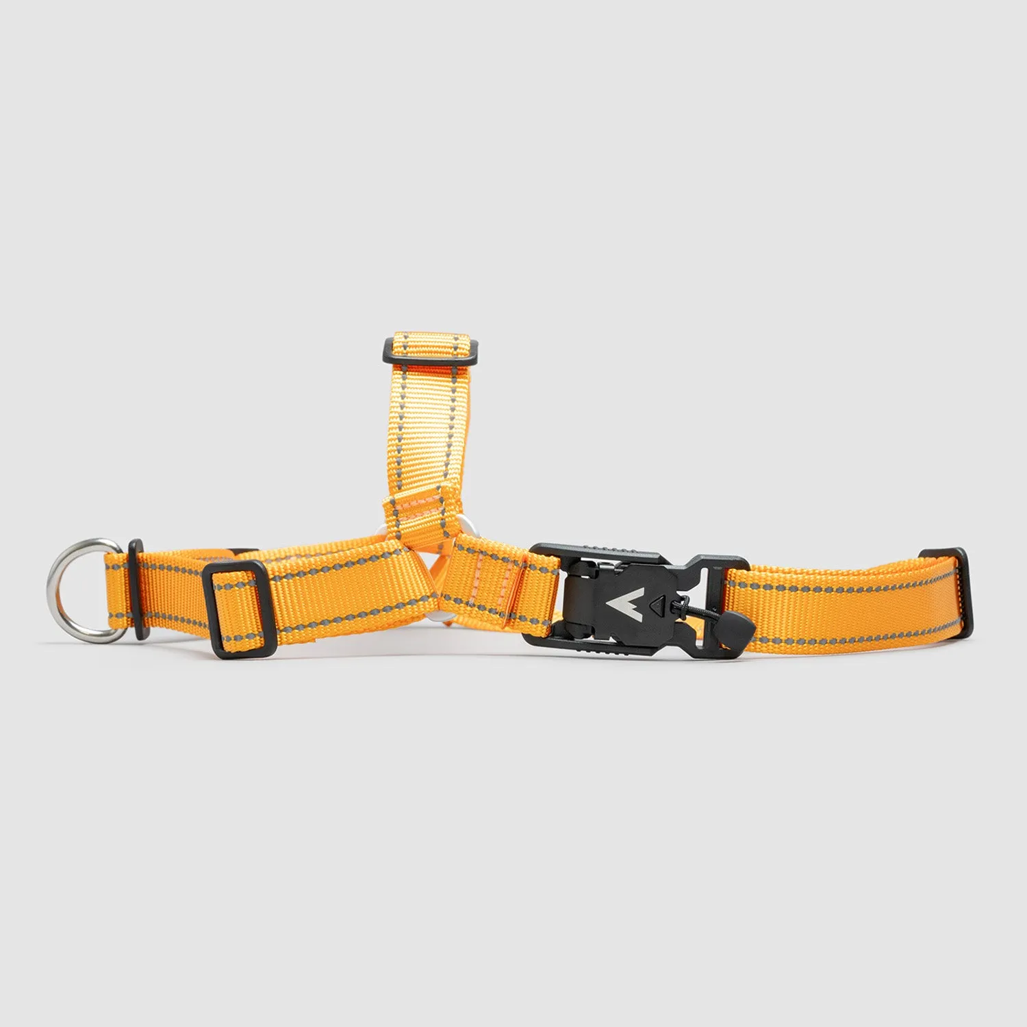 Lifetime Harness