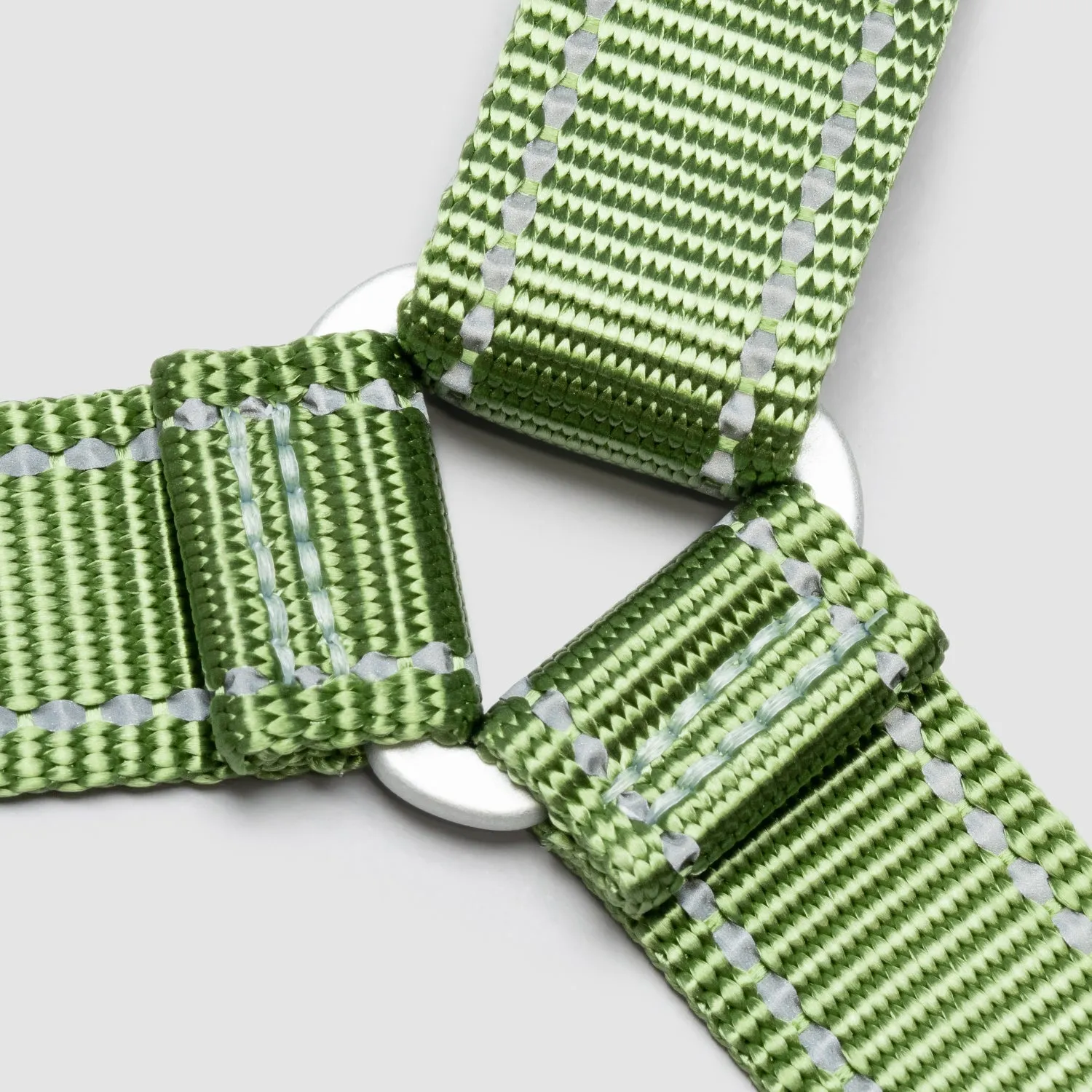 Lifetime Harness