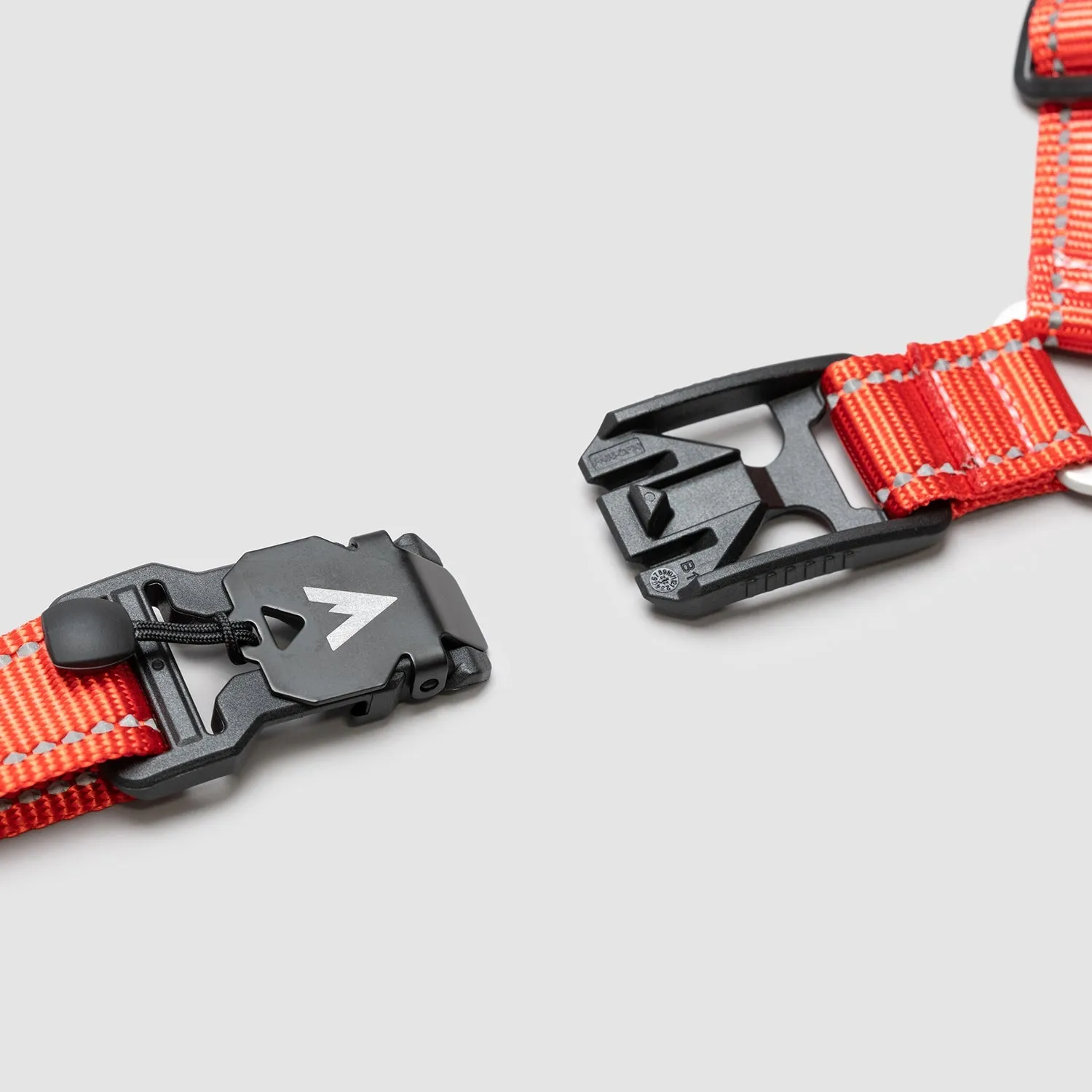 Lifetime Harness