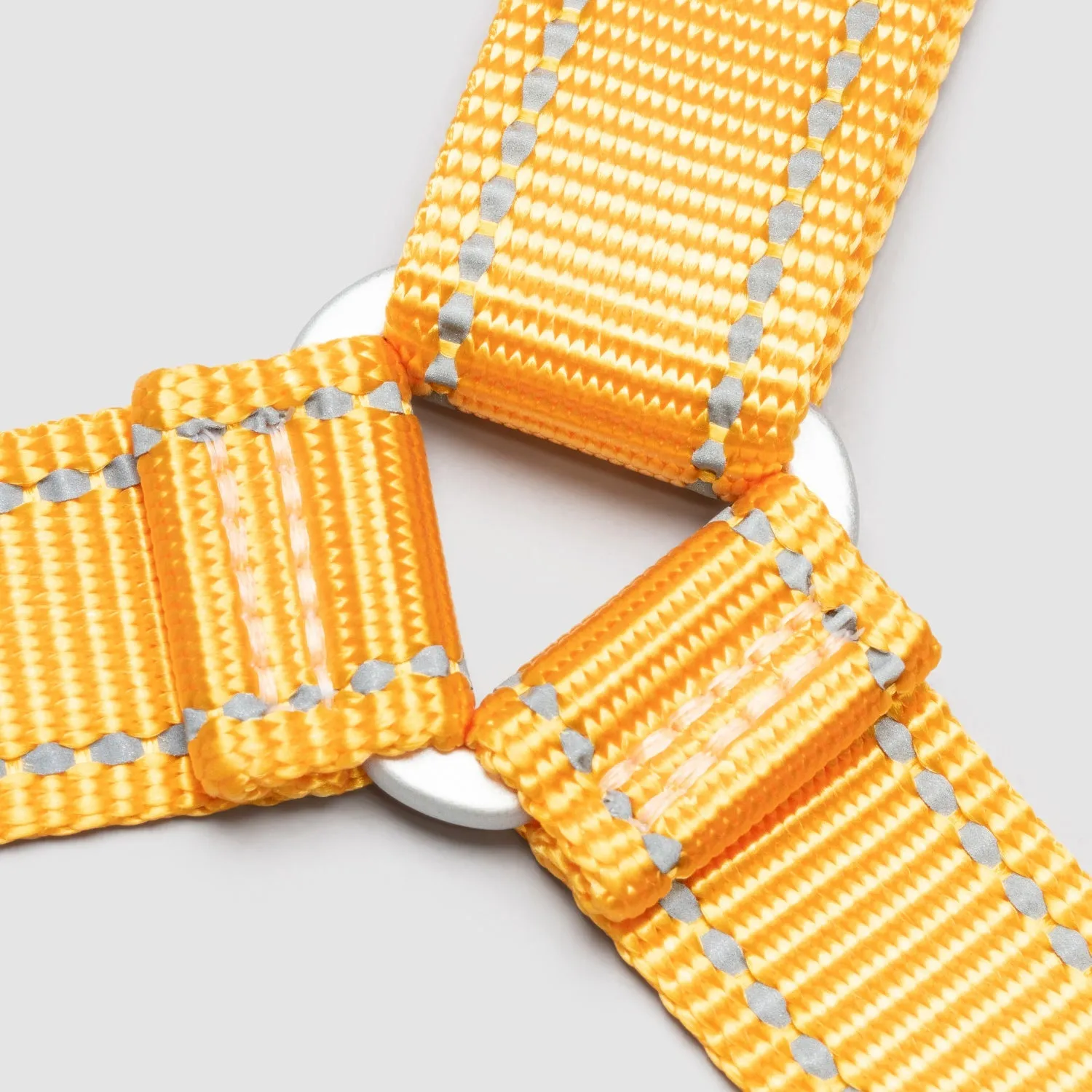 Lifetime Harness