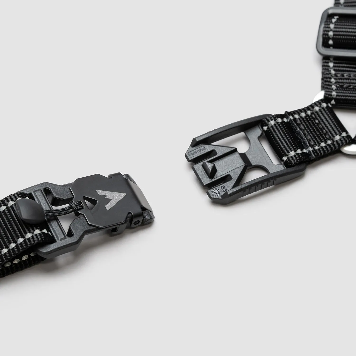 Lifetime Harness