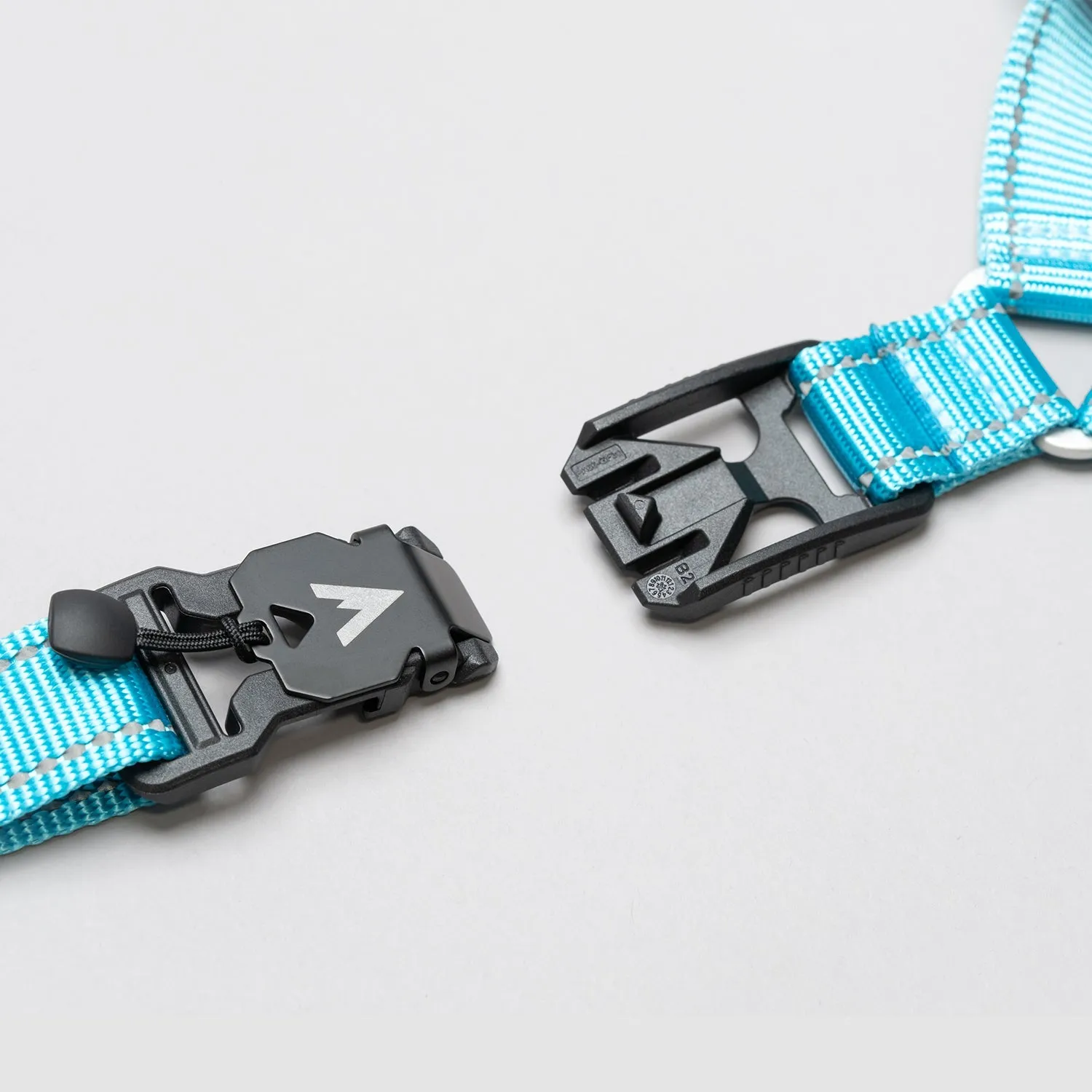 Lifetime Harness