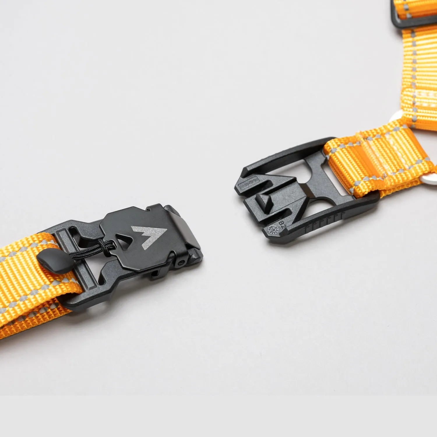 Lifetime Harness