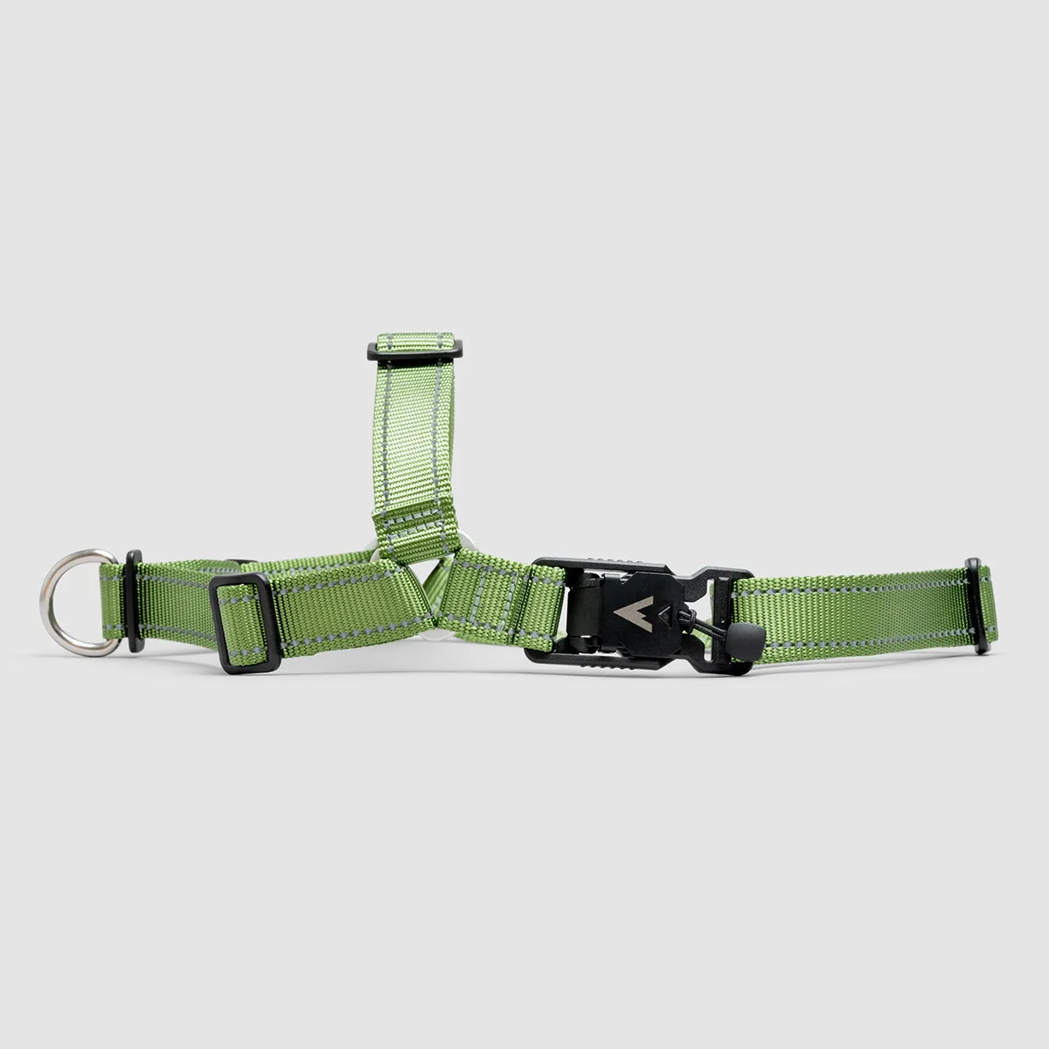 Lifetime Harness
