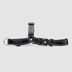Lifetime Harness