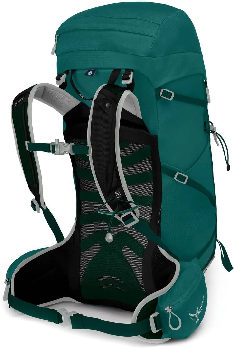 Osprey Tempest 30L Women's Hiking Backpack with Hipbelt, Jasper Green, WM/L