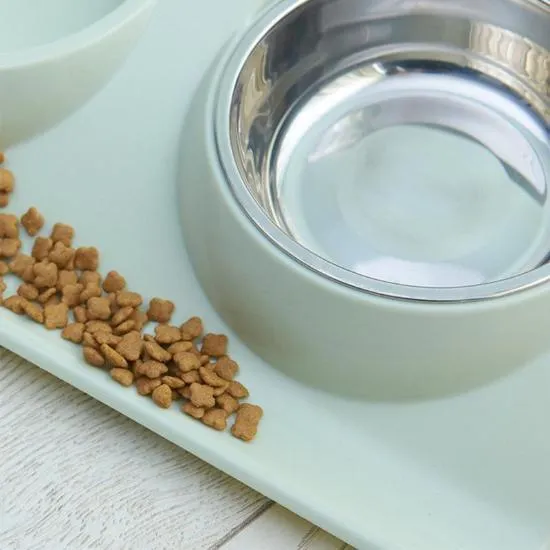 Pawfect Spill-Proof Double Diner