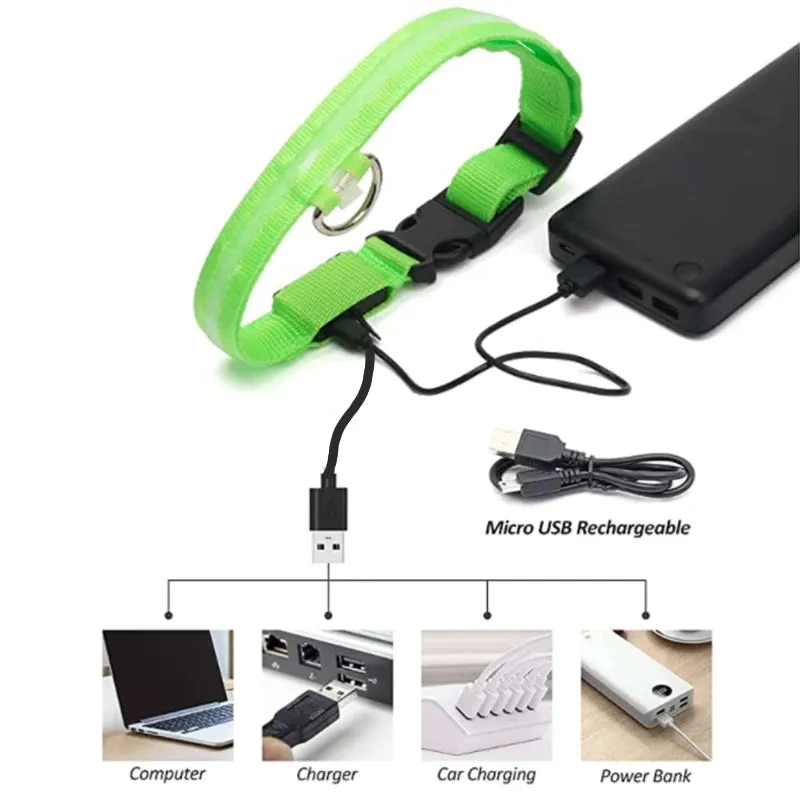 Rechargeable LED Dog Collar - Adjustable, Luminous Safety Collar for Pets