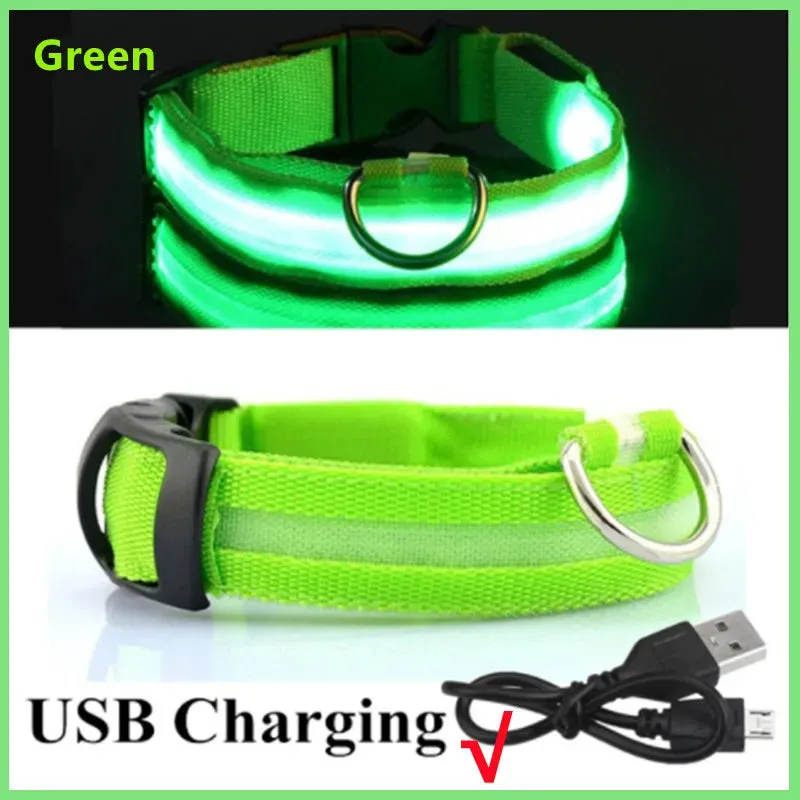 Rechargeable LED Dog Collar - Adjustable, Luminous Safety Collar for Pets