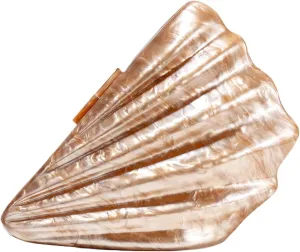 Shell Evening Clutch Purse, Small Purses For Women Pearl Acrylic Shoulder Handbags Cross Body Party Prom Seashell Bag