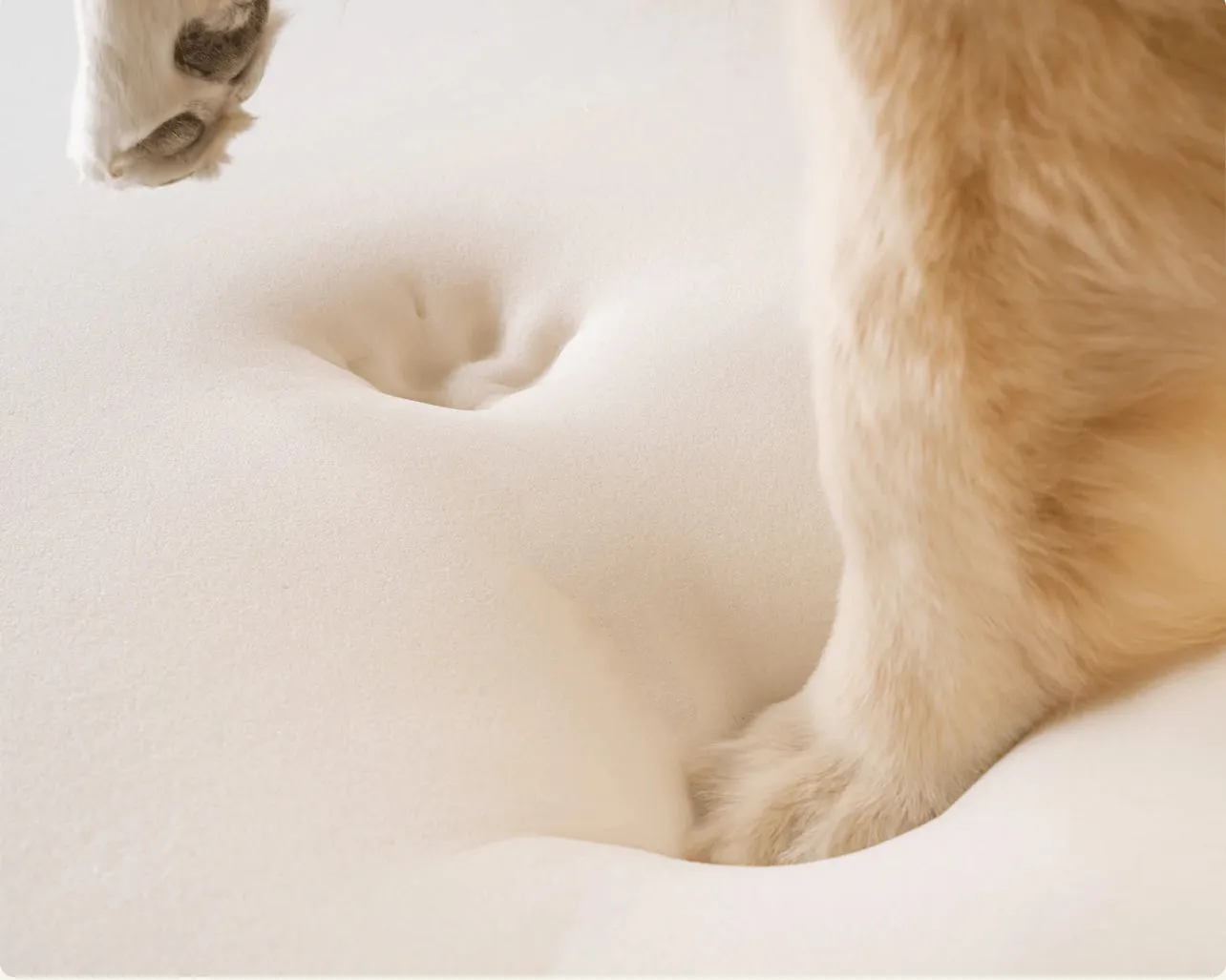 Waterproof Memory Foam Dog Bed - Brown Faux Cowhide