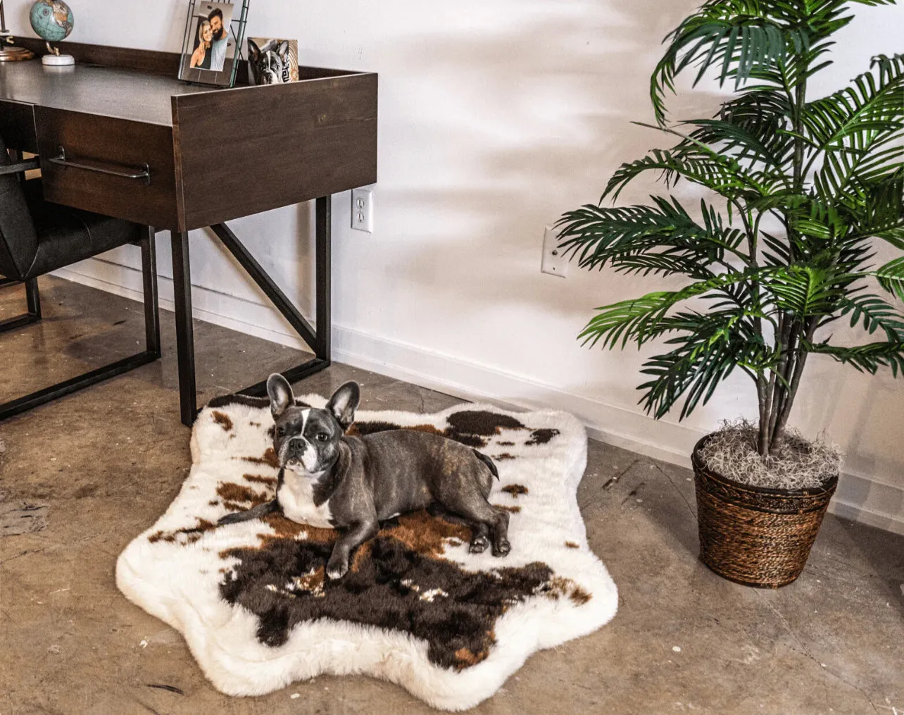 Waterproof Memory Foam Dog Bed - Brown Faux Cowhide