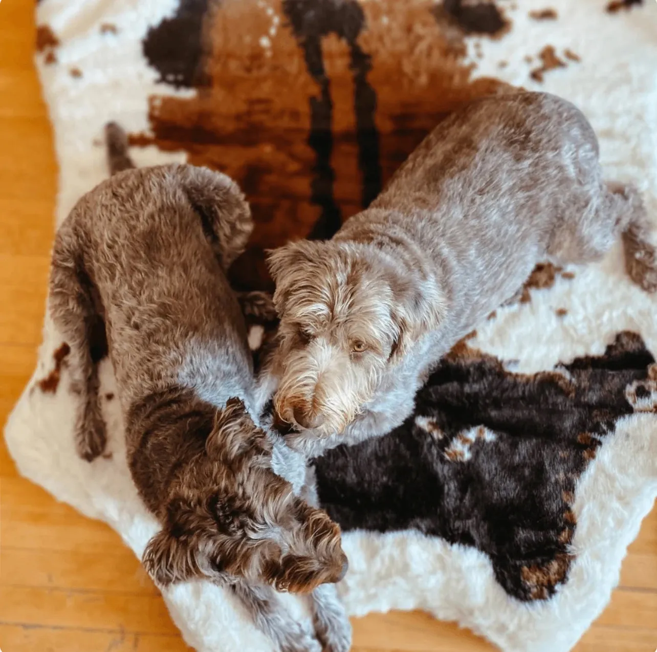 Waterproof Memory Foam Dog Bed - Brown Faux Cowhide