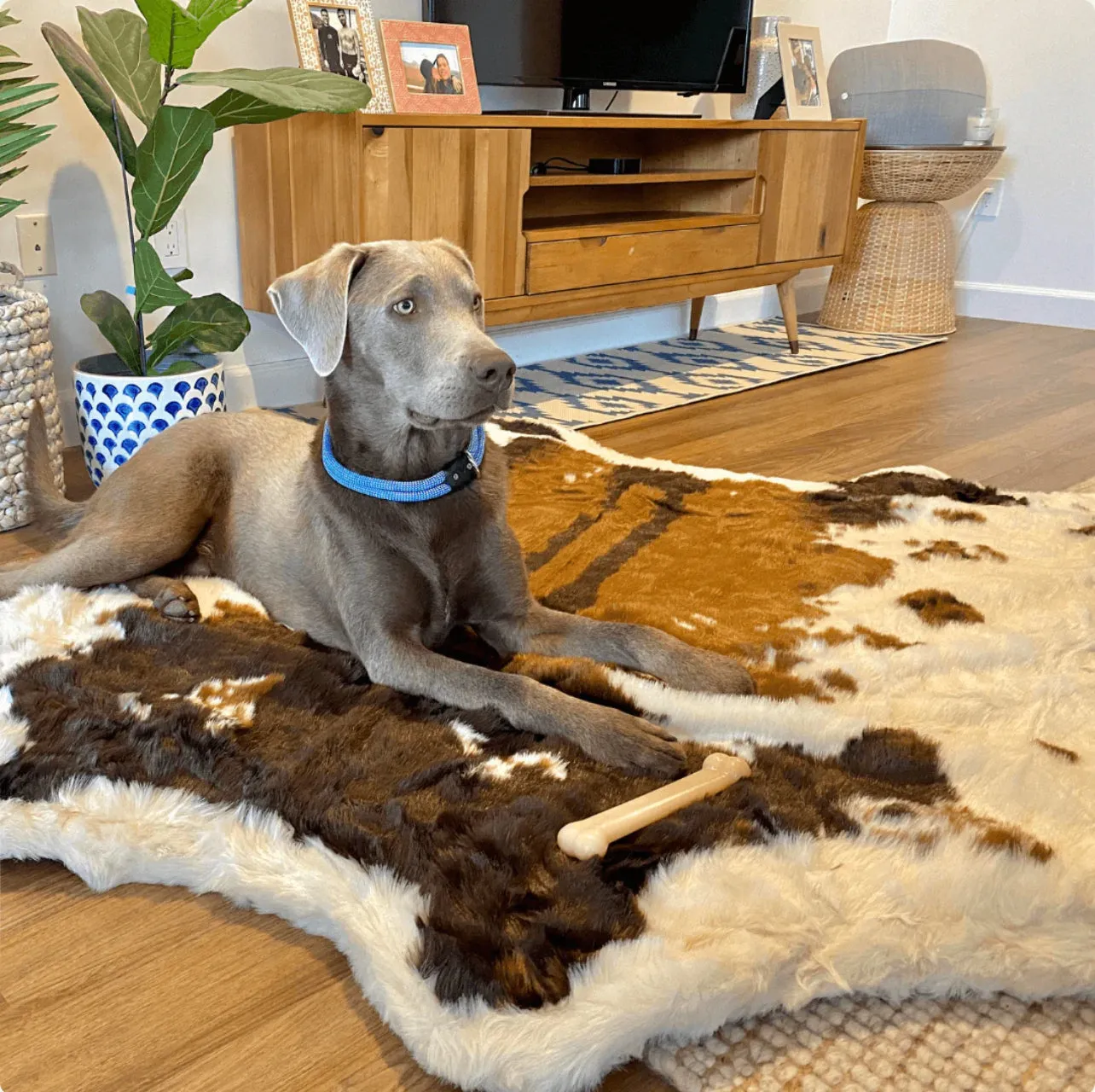 Waterproof Memory Foam Dog Bed - Brown Faux Cowhide